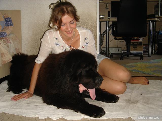 55638_5r8euyq5cwc.jpg